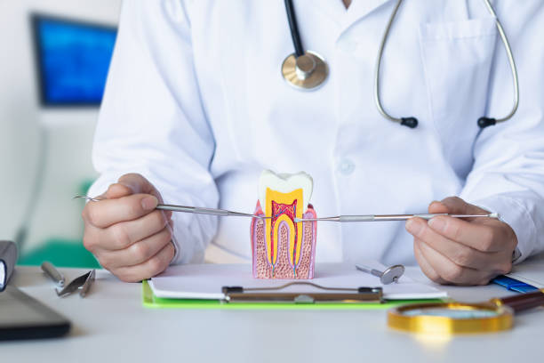 Best Emergency Denture Repair in Friday Harbor, WA